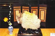 内蒙戈壁滩的奇特生物：30厘米长的绵羊卖出400多万
