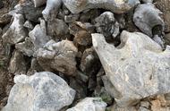 太湖石：庭院观赏造景设计的首选石材