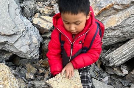 男子带娃爬山意外发现古生物化石，专家称在本市很常见
