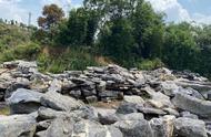 太湖石：园林景观中的瑰宝
