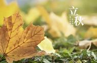 迎接立秋，遵循传统习俗：“咬秋、晒秋、饮秋茶”，清爽迎接秋季好运。