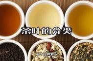 陈宗懋揭秘：茶叶的多元化分类