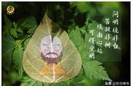 探索菩提叶书签：自然与文化的完美结合