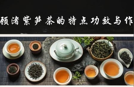 顾渚紫笋茶：独特的功效与作用揭秘