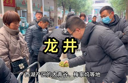 龙井茶：外行与内行的不同视角