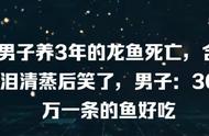 男子痛失3年龙鱼，含泪烹饪后心情大变？男子：这条价值30万的鱼竟然如此美味！