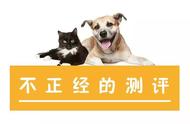 【宠物乐趣】猫与狗的玩具对决，哪款更受毛孩喜爱？