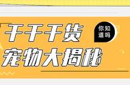 揭秘狗狗训练中的三种神秘语言信号