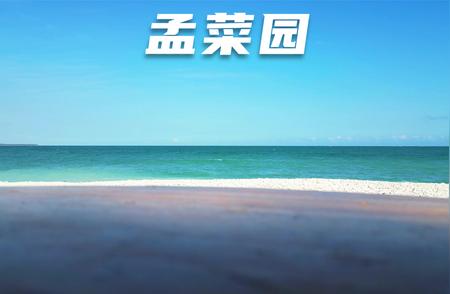 琼海新晋网红打卡地——孟菜园探秘