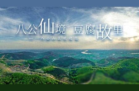 八公山登山征文启事：探索自然之美与文学情怀