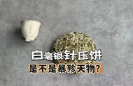 白毫银针为何从不压饼到现在频繁出现？