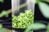 春茶的优劣：早春茶真的胜过其他季节吗？