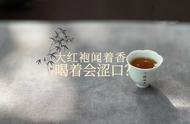 初尝大红袍，花果香尚可，但口感略涩，这正常吗？