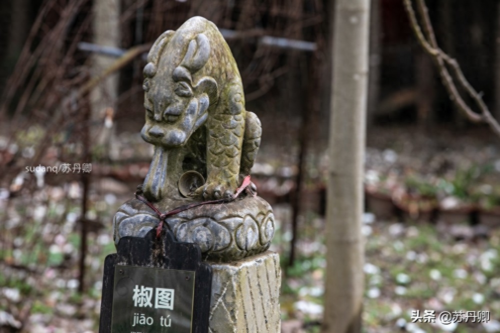 龙生九子各不相同，其形象随处可见，但包括貔貅和麒麟吗？