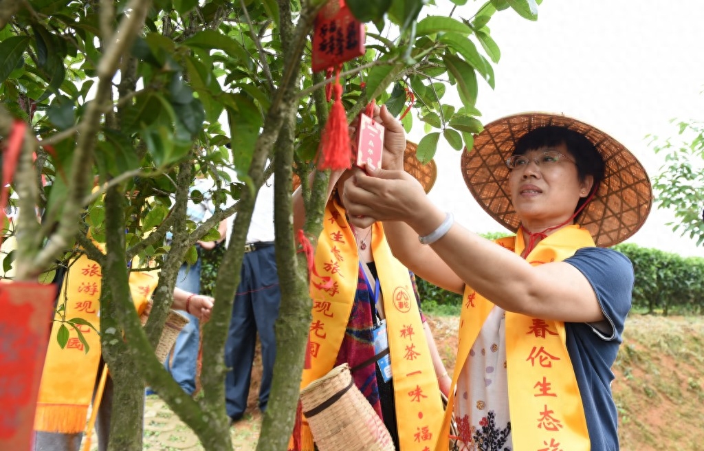 了解茉莉花茶文化 享受福寿健康之旅